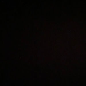 Meet your Posher, Owen